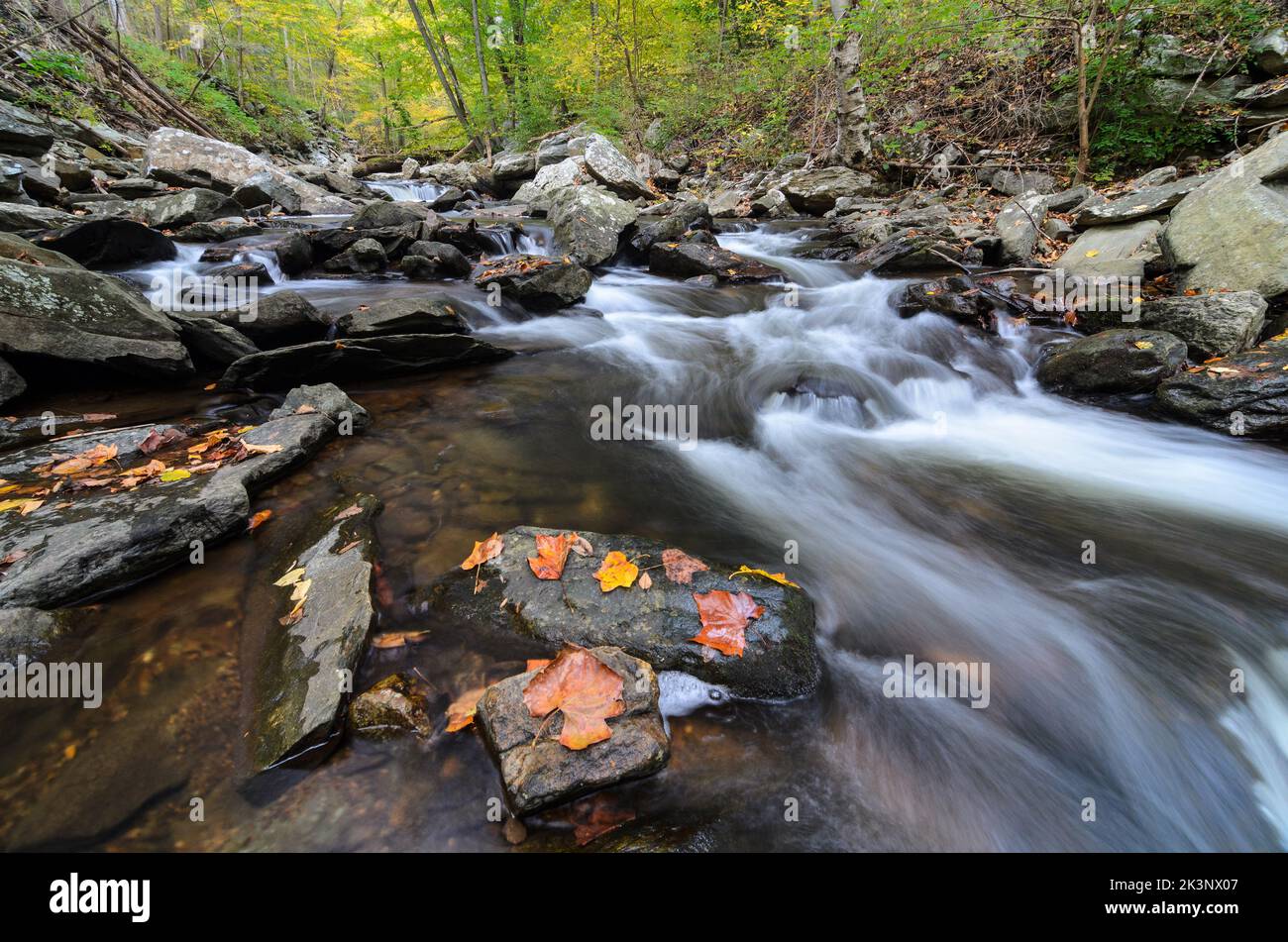 Cascate nel Big Hunting Creek al di fuori di Thurmont, Maryland, nel Catottin Mountain Park Foto Stock