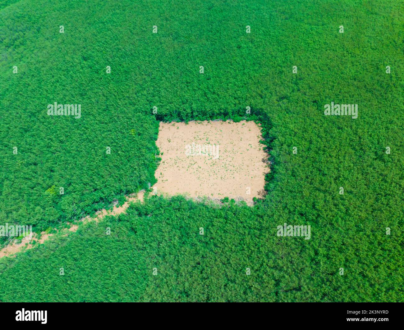 Vista aerea del segnale di dialogo sul campo erba Foto Stock