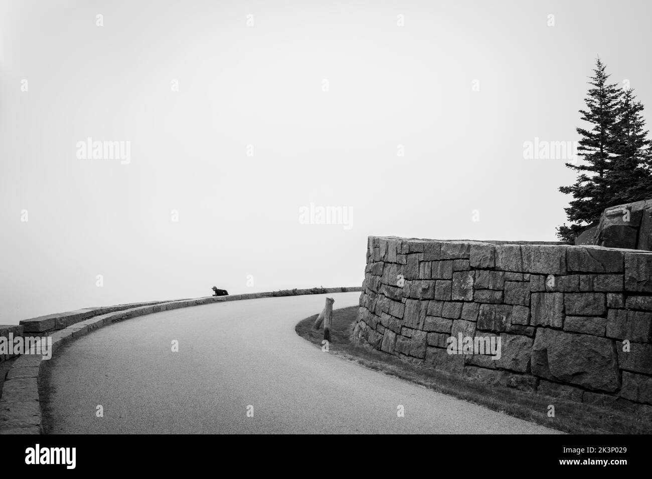 Un'immagine in scala di grigi di una strada con un muro di pietra e alberi sul lato destro Foto Stock