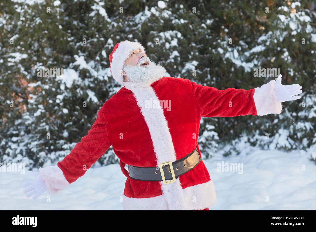 Vita in su ritratto di Babbo Natale tradizionale godere della foresta invernale all'aperto con le braccia fuori Foto Stock