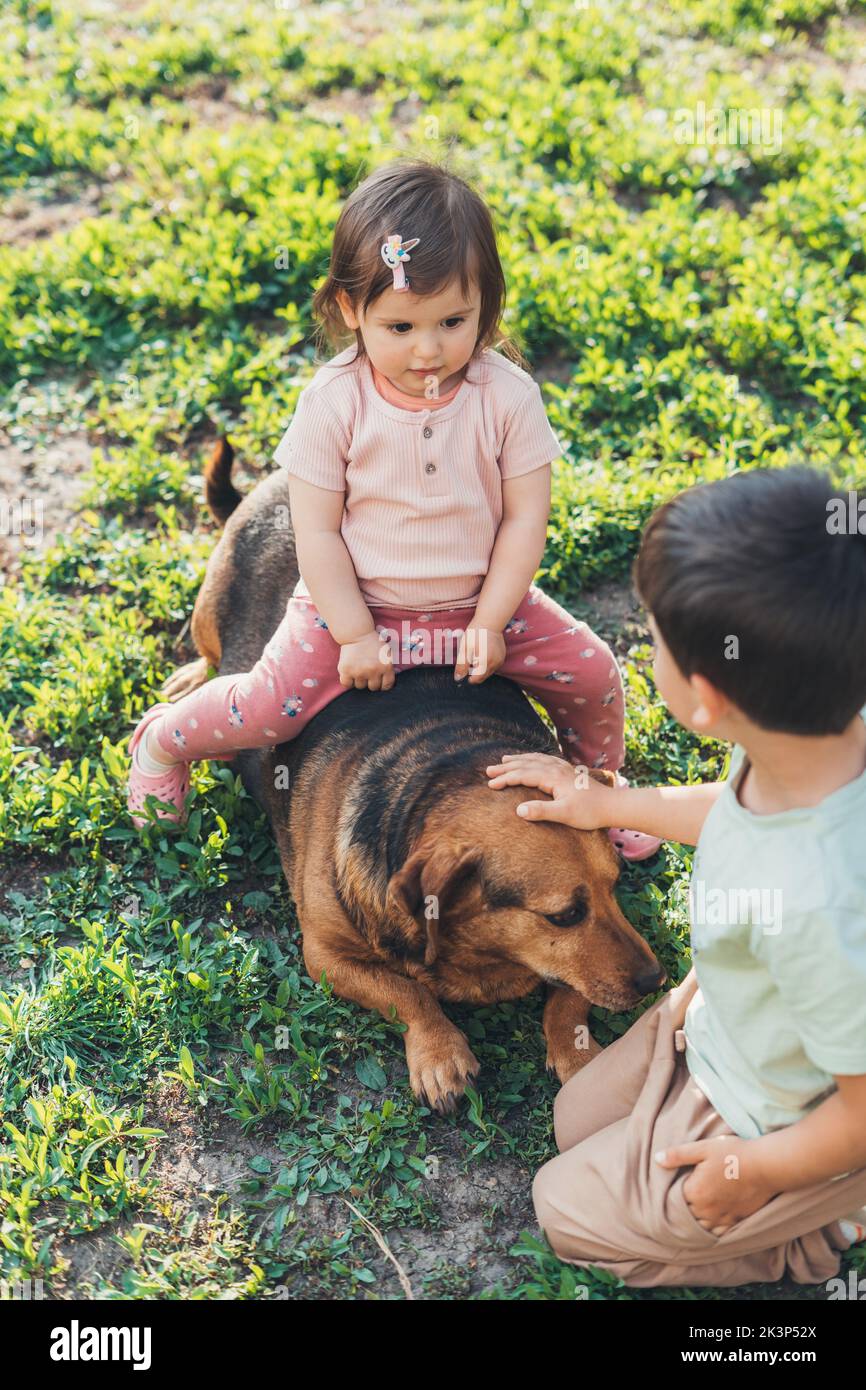 Il ragazzo accarezzava il cane mentre la sorella del bambino cavalca l'animale divertendosi nel parco durante il fine settimana. Cura degli animali domestici. Ritratto di due bambini e. Foto Stock