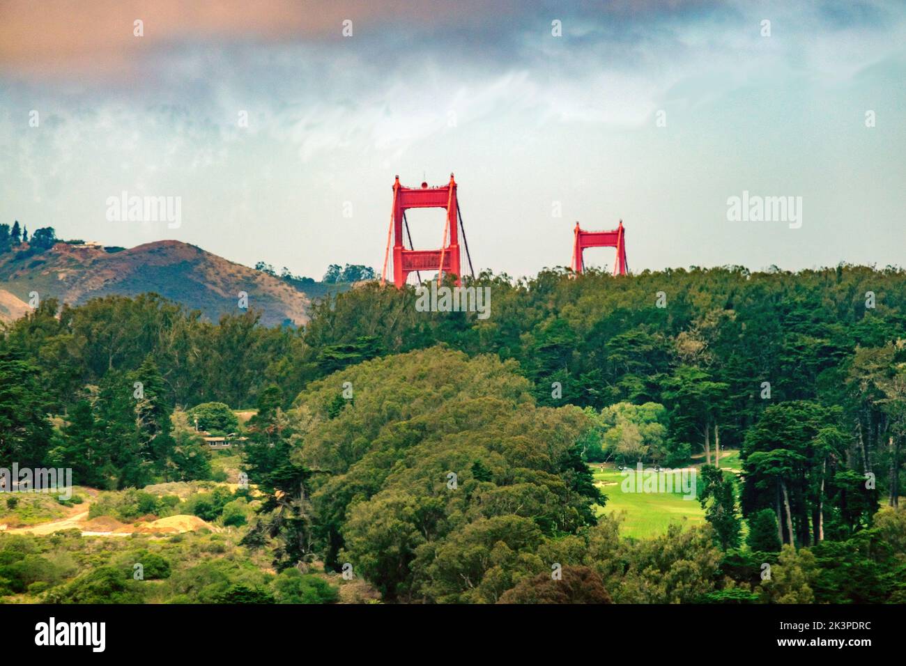 Vista parziale delle torri alte 746 piedi del Golden Gate Bridge da dietro gli alberi, con un campo da golf in primo piano, San Francisco, Califor Foto Stock