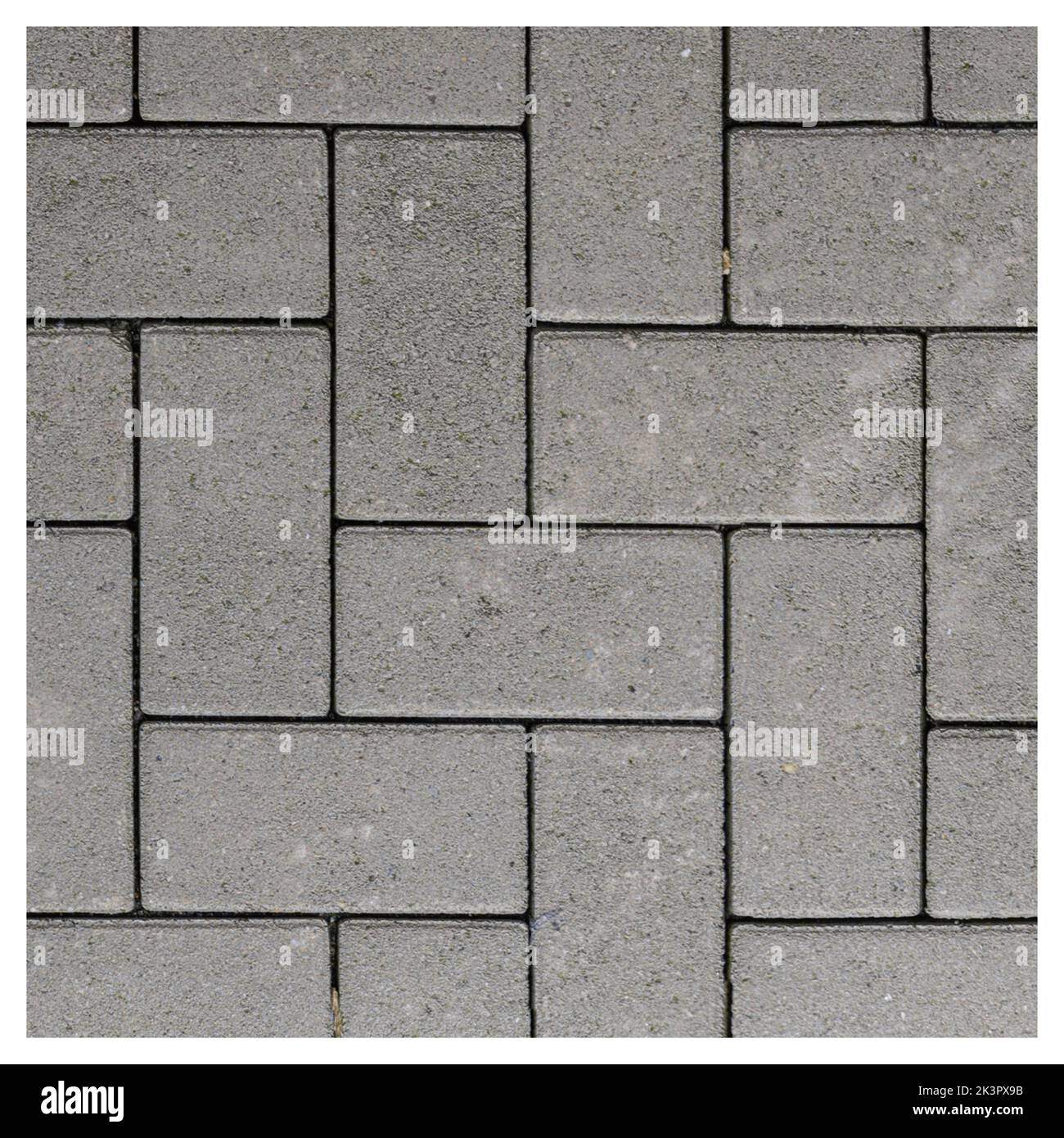 pietra di pavimentazione isolata su sfondo bianco 3d illustrazione Foto Stock