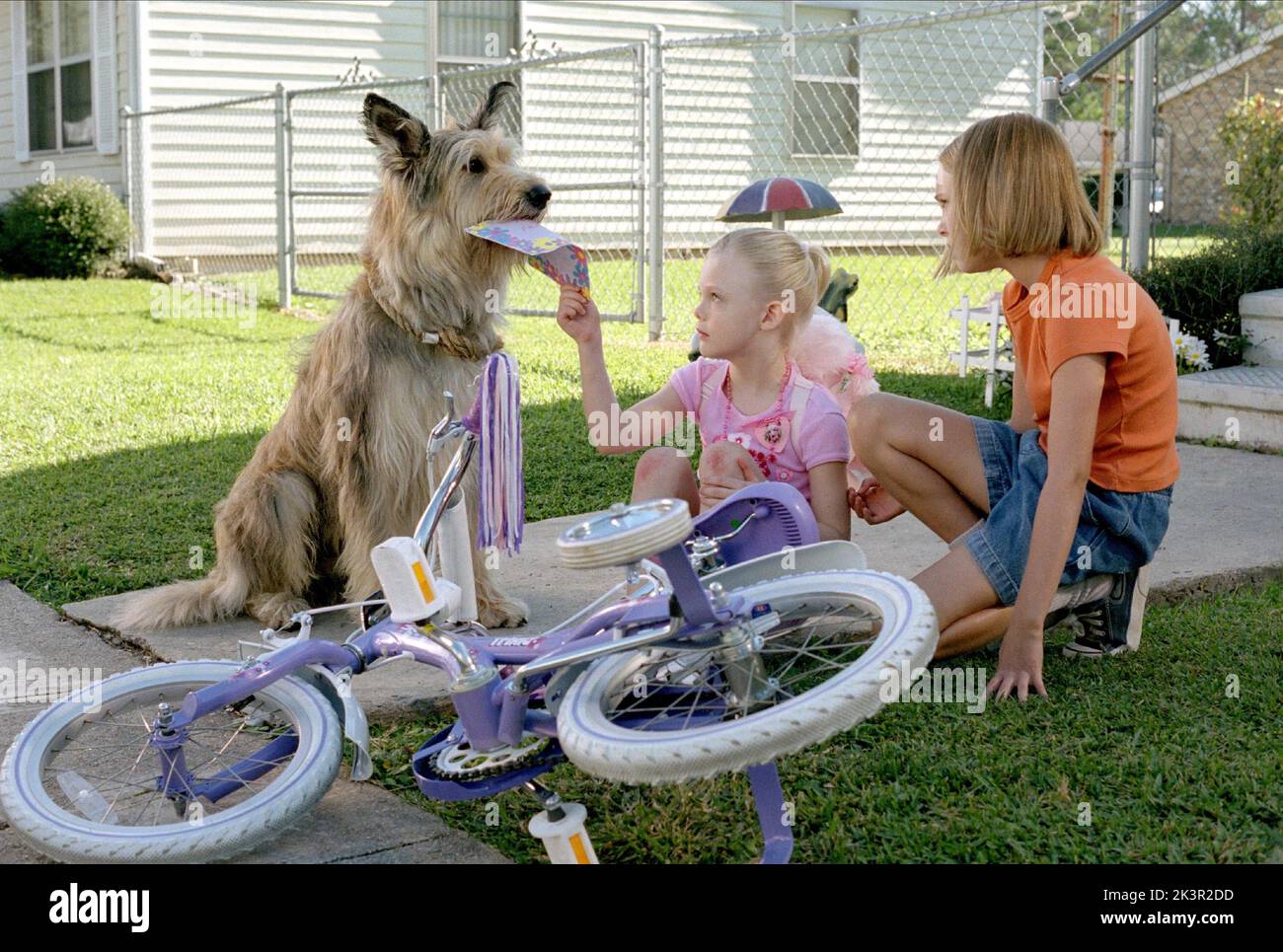 Elle Fanning & AnnaSophia Robb Film: A causa di Winn-Dixie (USA 2005) personaggi: Sweetie Pie Thomas & Opal / Literaturverfilmung (basato sul libro di Kate Dicamillo) regista: Wayne Wang 26 gennaio 2005 **AVVISO** questa foto è solo per uso editoriale ed è il copyright di 20ZH CENTURY FOX e/o il fotografo assegnato dalla Film o dalla Società di produzione e può essere riprodotto solo da pubblicazioni in concomitanza con la promozione del suddetto Film. È richiesto un credito obbligatorio per 20ZH CENTURY FOX. Il fotografo deve essere accreditato anche quando è noto. Nessun uso commerciale può essere gran Foto Stock