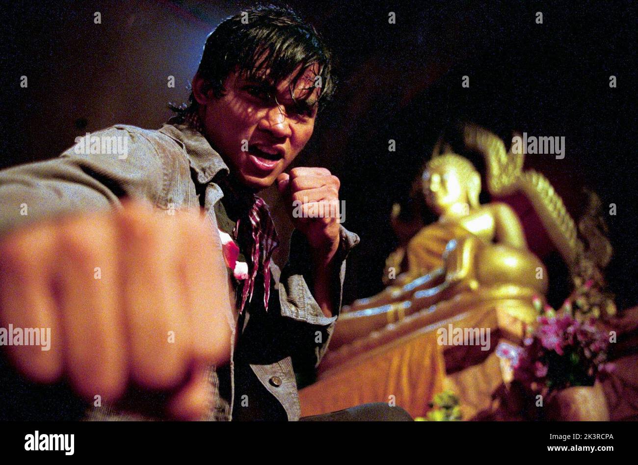 Tony JAA Film: The Protector; Tom Yum Goong; Warrior King (THA/HK/USA 2005) personaggi: Kham Director: Prachya Pinkaew 11 Agosto 2005 **AVVISO** questa fotografia è solo per uso editoriale ed è il copyright DELLA SOCIETÀ WEINSTEIN e/o del fotografo assegnato dalla Società di produzione e film e può essere riprodotta solo da pubblicazioni in concomitanza con la promozione del suddetto Film. È richiesto un credito obbligatorio per L'AZIENDA WEINSTEIN. Il fotografo deve essere accreditato anche quando è noto. Nessun uso commerciale può essere concesso senza l'autorizzazione scritta della Film Company. Foto Stock