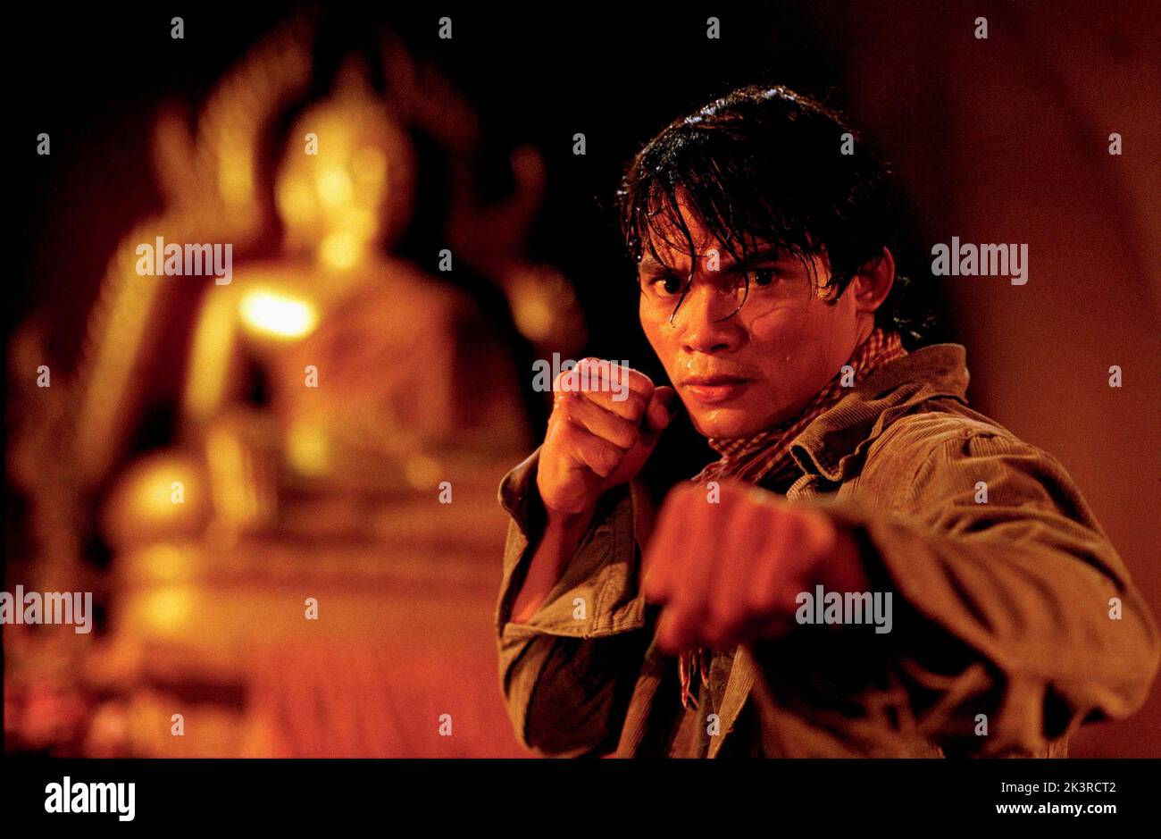 Tony JAA Film: The Protector; Tom Yum Goong; Warrior King (THA/HK/USA 2005) personaggi: Kham Director: Prachya Pinkaew 11 Agosto 2005 **AVVISO** questa fotografia è solo per uso editoriale ed è il copyright DELLA SOCIETÀ WEINSTEIN e/o del fotografo assegnato dalla Società di produzione e film e può essere riprodotta solo da pubblicazioni in concomitanza con la promozione del suddetto Film. È richiesto un credito obbligatorio per L'AZIENDA WEINSTEIN. Il fotografo deve essere accreditato anche quando è noto. Nessun uso commerciale può essere concesso senza l'autorizzazione scritta della Film Company. Foto Stock