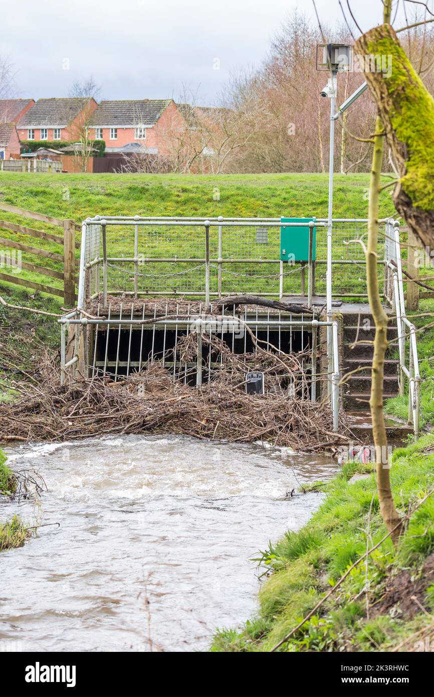 Gestione delle ostruzioni nel parco pubblico del Regno Unito, che impedisce ai detriti di ostruire il flusso d'acqua e riduce il rischio di alluvioni nell'area della loca. Foto Stock