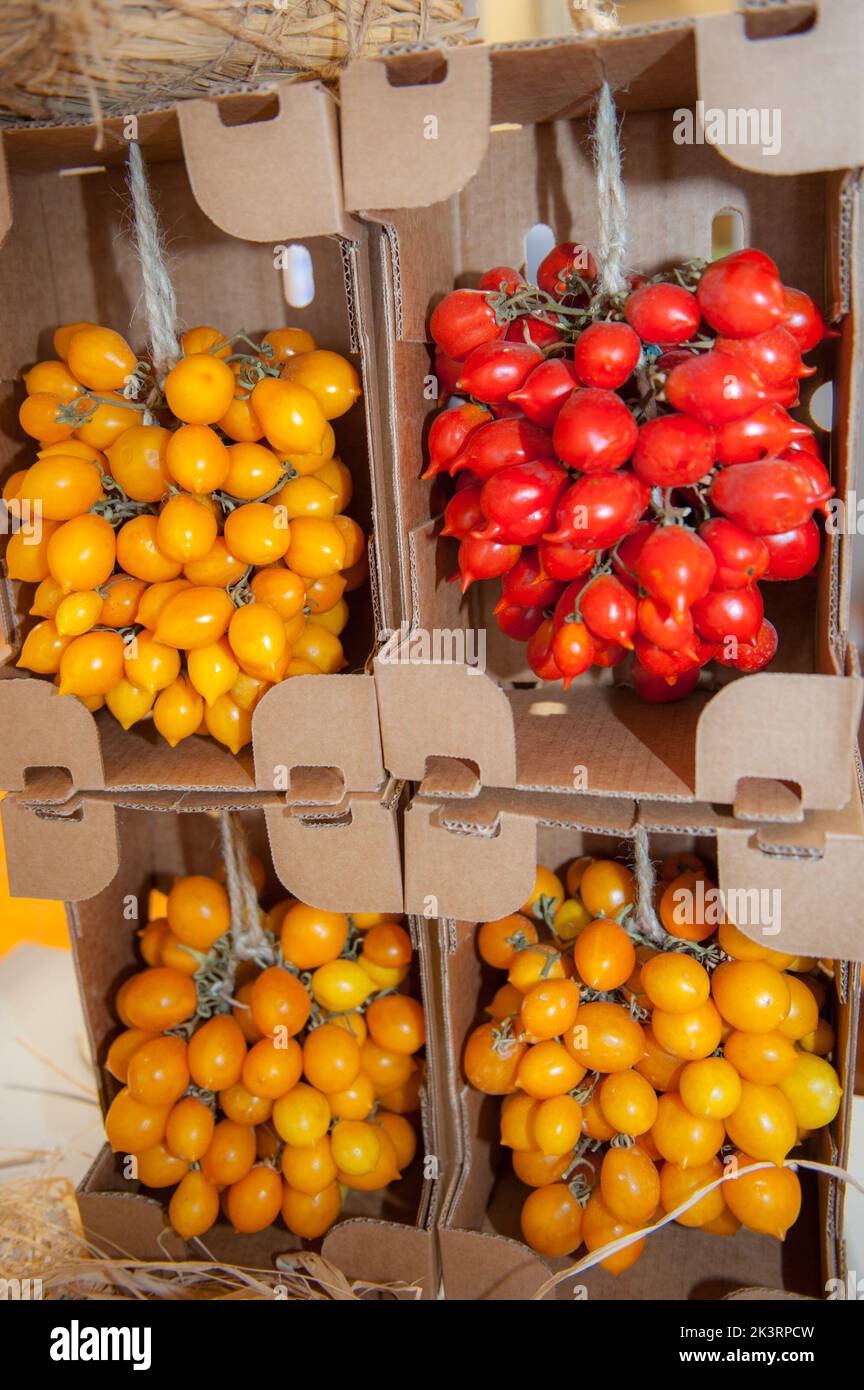 Torino, Salone del gusto, grappoli di pomodori rossi e gialli esposti al Salone del gusto 2022 Foto Stock