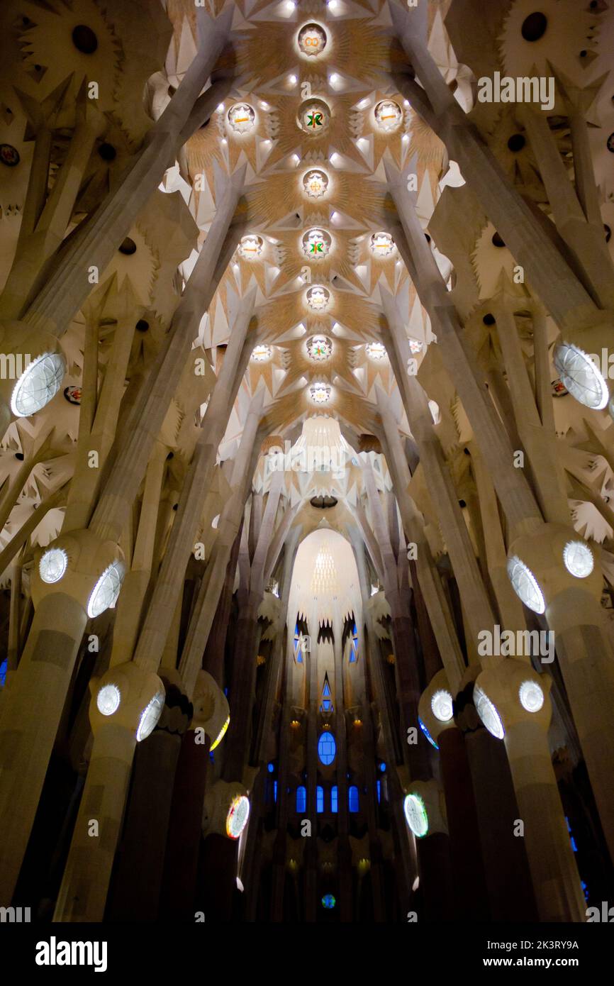 Interno della Basilica della Sagrada Familia, progettato da Antoni Gaudì a Barcellona, Spagna. Foto Stock