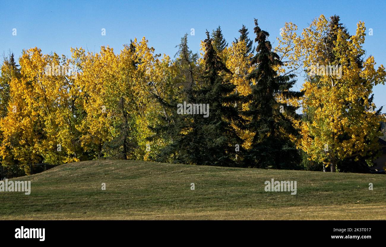 Bowmont Park Calgary Alberta Foto Stock