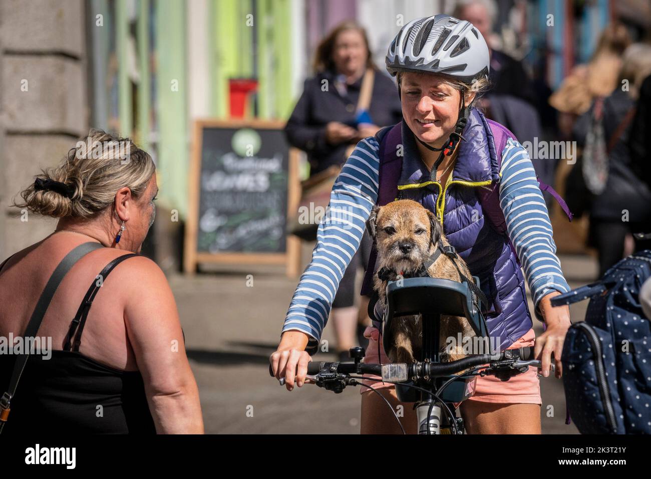 Una ciclista femminile in bicicletta con il suo cane seduto in un cesto. Foto Stock