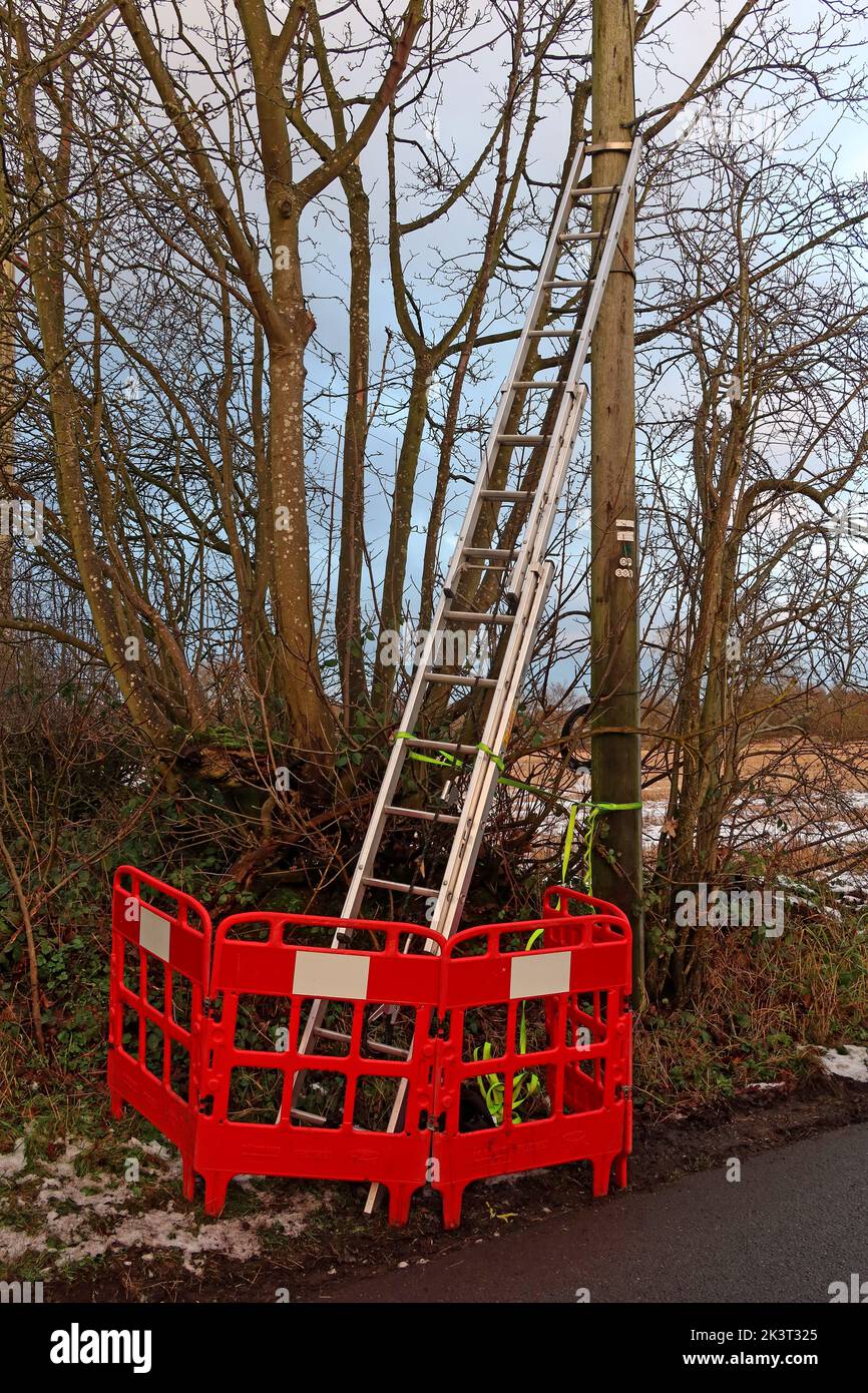 Scala per ingegnere telefonico, sinistra su un palo telefonico, problema di sicurezza sanitaria, funzionamento solitario, Appleton, Warrington, Cheshire, Inghilterra, Regno Unito, WA4 5NJ Foto Stock