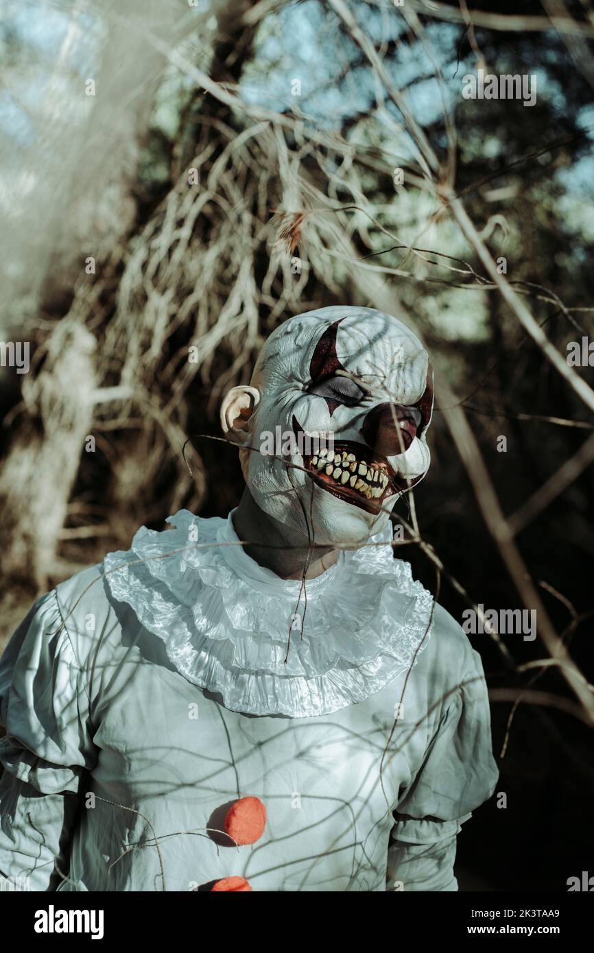 primo piano di un pagliaccio malvagio, che indossa un costume grigio con un rufo bianco, e pom-pom rossi, in piedi con gli occhi chiusi nel bosco al crepuscolo Foto Stock