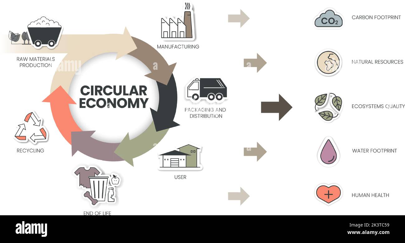 Il diagramma infografico Circular Economy prevede 6 fasi per l'analisi, quali produzione, imballaggio e distribuzione, utente, fine del ciclo di vita, riciclaggio e ma non elaborati Illustrazione Vettoriale