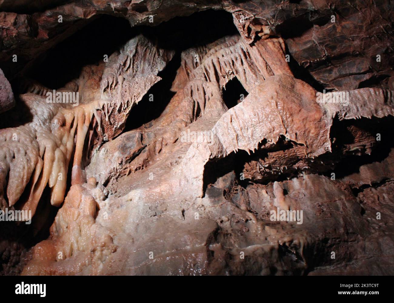 Faccia nella roccia a Gough's Cave, Cheddar Gorge, Somerset, Inghilterra Foto Stock