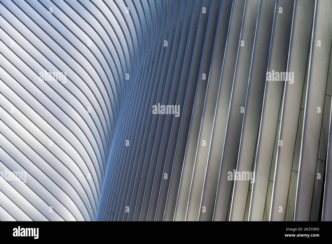 Nervature di occhio station house progettata dall'architetto Santiago Calatrava, World Trade Center station (percorso), Manhattan, New York, Stati Uniti d'America Foto Stock