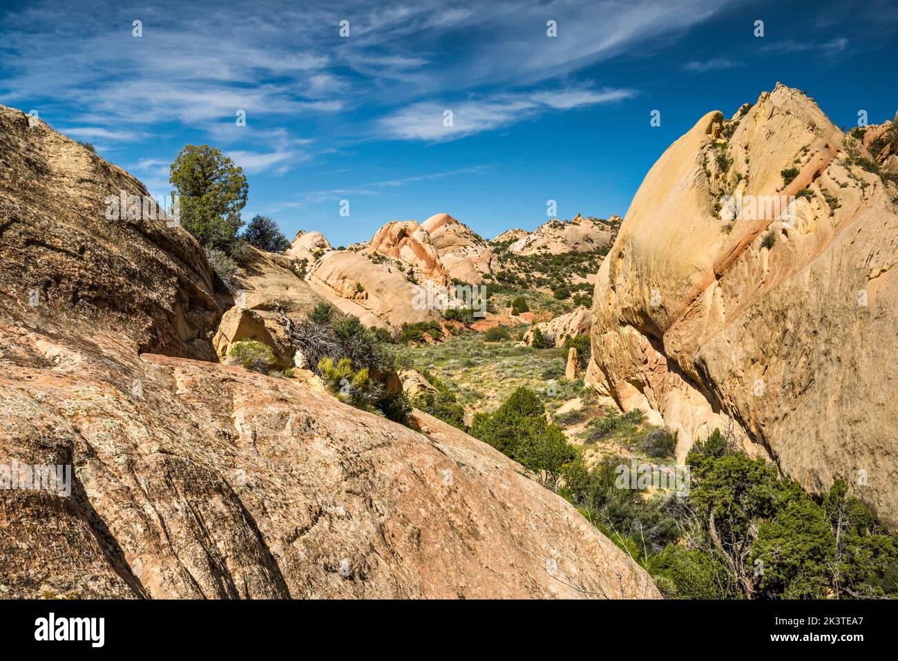 Massi di roccia di arenaria Weber, Sound of Silence Trail, zona delle Montagne di Spalato, Dinosaur National Monument, Utah, USA Foto Stock