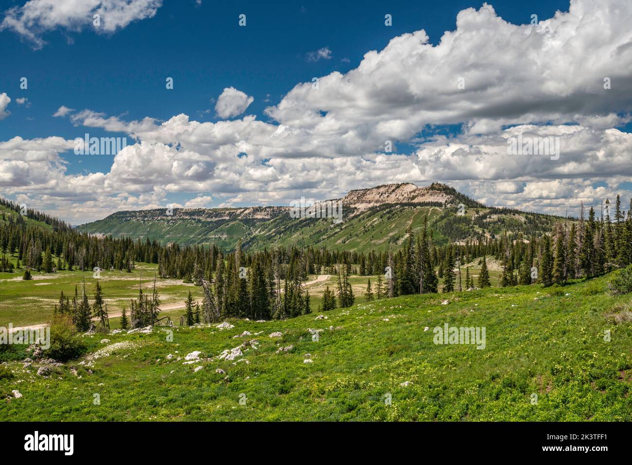 Black Mountain in dist, Hightop sulla destra, vista da Skyline Drive, attraverso Twelvemile Flat, Wasatch Plateau, Manti la SAL National Forest, Utah, USA Foto Stock
