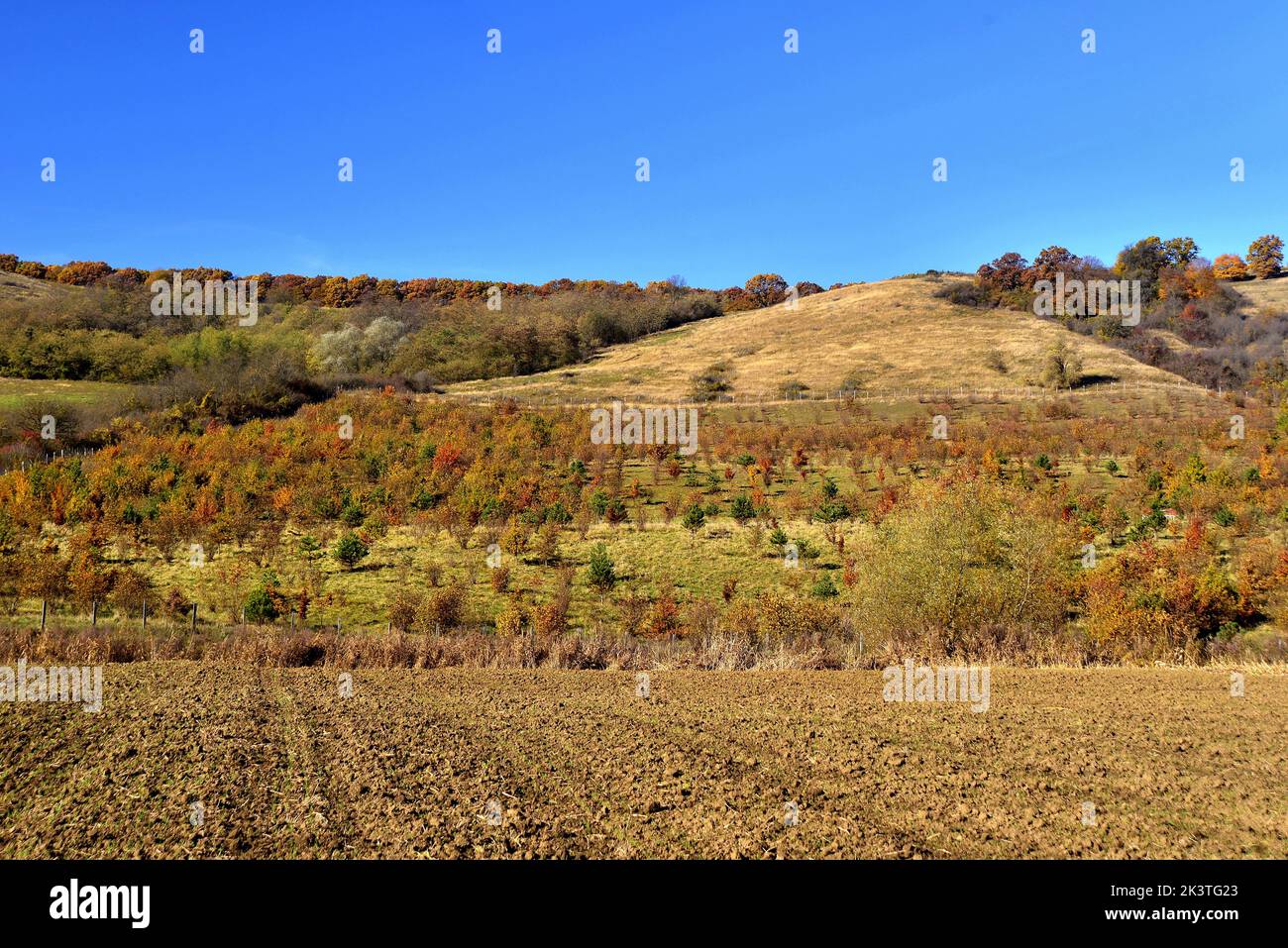 Paesaggio autunnale con un campo e cielo Foto Stock