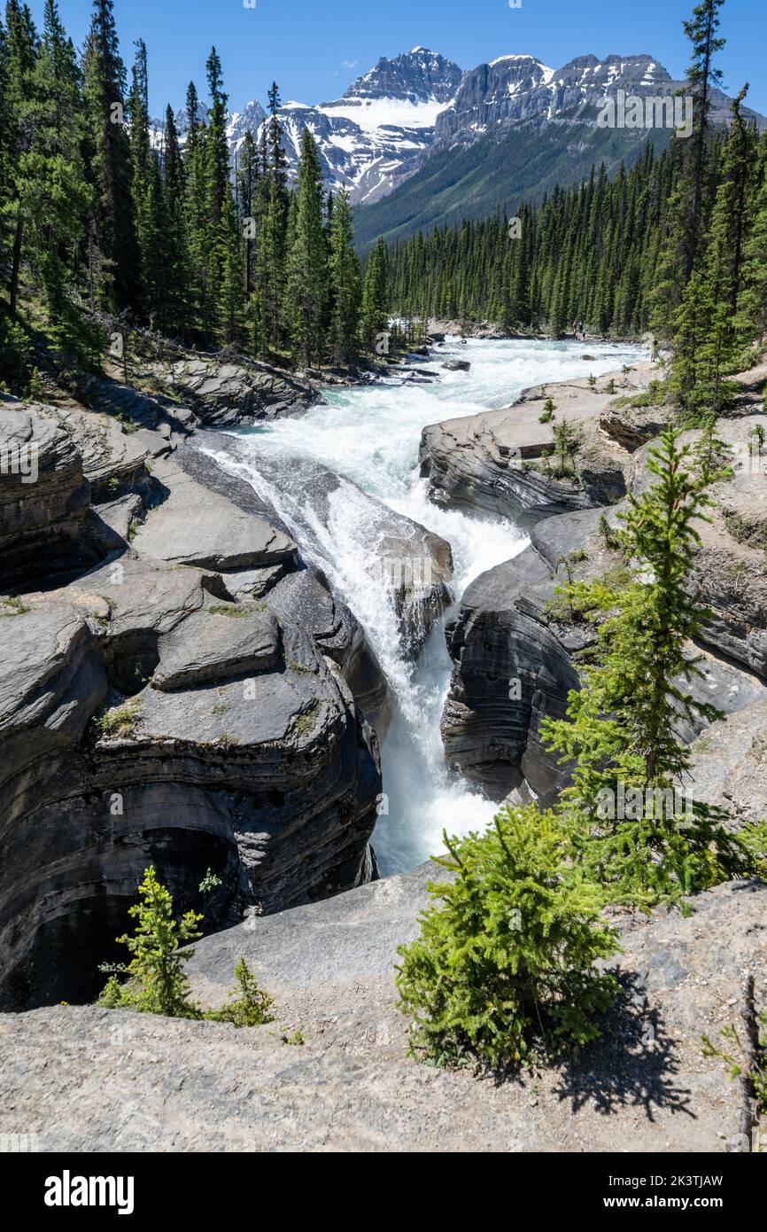 Mistaya Canyon nel Parco Nazionale di Jasper lungo l'Icefields Parkway Foto Stock
