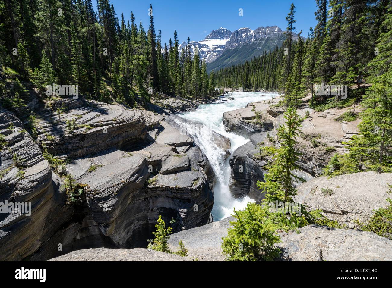Mistaya Canyon nel Parco Nazionale di Jasper lungo l'Icefields Parkway Foto Stock
