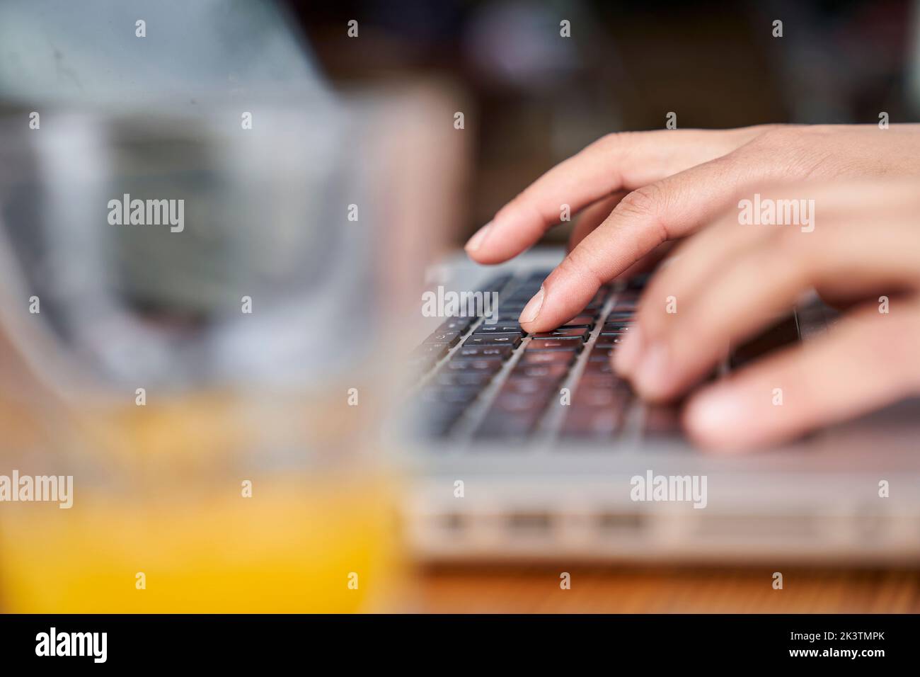 Primo piano delle mani di una donna che digita sul computer portatile Foto Stock