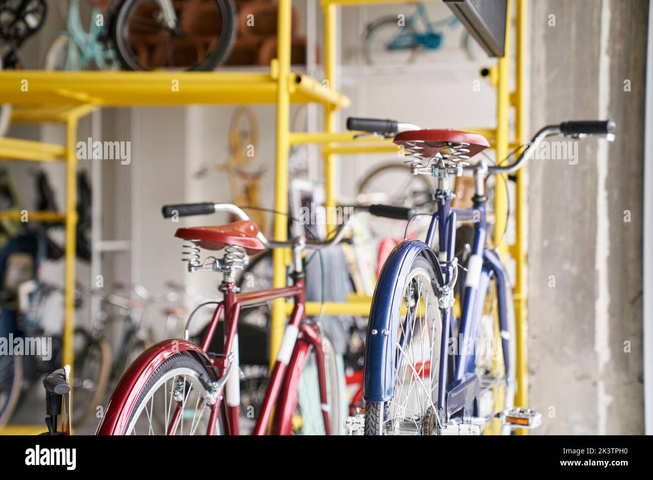 Biciclette all'interno di un negozio di biciclette Foto Stock