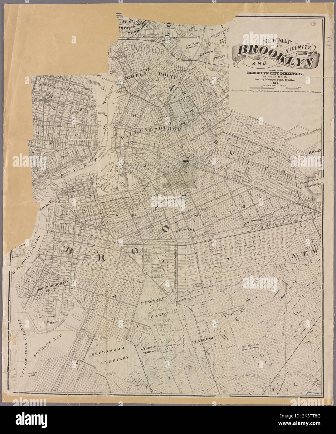 Nuova mappa di Brooklyn e cartografia delle vicinanze. Mappe. 1877. Lionel Pincus e la Principessa Firyal Map Division. Brooklyn (New York, N.Y.), Mappe Foto Stock