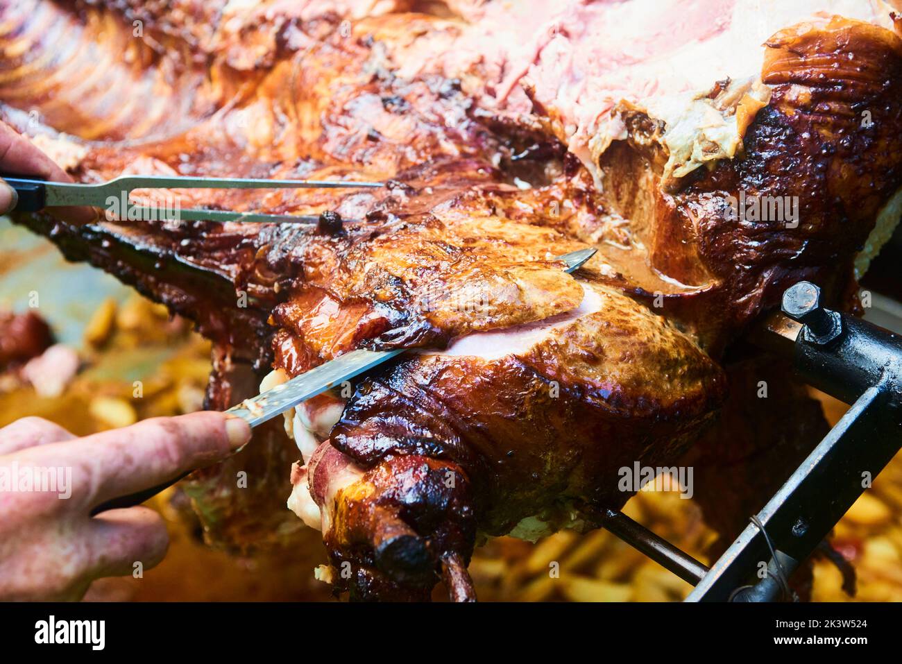 Le mani dello chef tagliano carne di maiale intera alla griglia per le bistecche con il coltello. Maiale alla griglia tradizionale carbone e fuoco. Il piccolo maialino è arrostito intero su un fuoco aperto Foto Stock