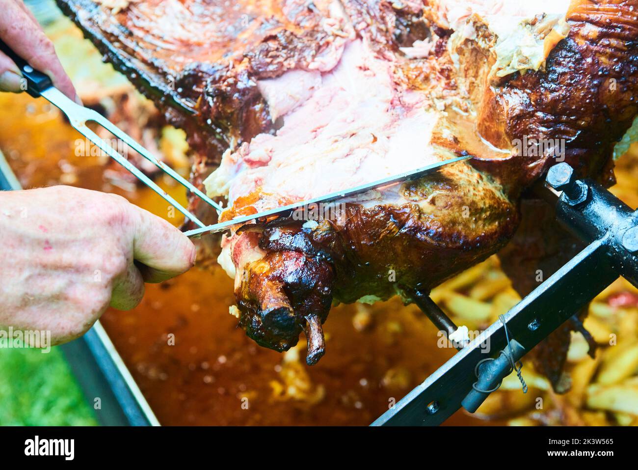 Le mani dello chef tagliano carne di maiale intera alla griglia per le bistecche con il coltello. Maiale alla griglia tradizionale carbone e fuoco. Il piccolo maialino è arrostito intero su un fuoco aperto Foto Stock