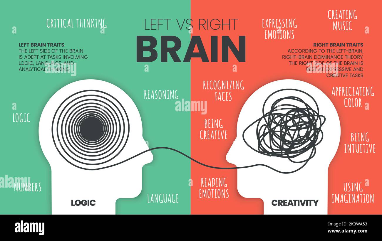Modello infografico cervello sinistro vs. Dominio cervello destro. Come funziona il cervello umano teoria. Persone creative di destra-cervello e analytical pensatori lef Illustrazione Vettoriale