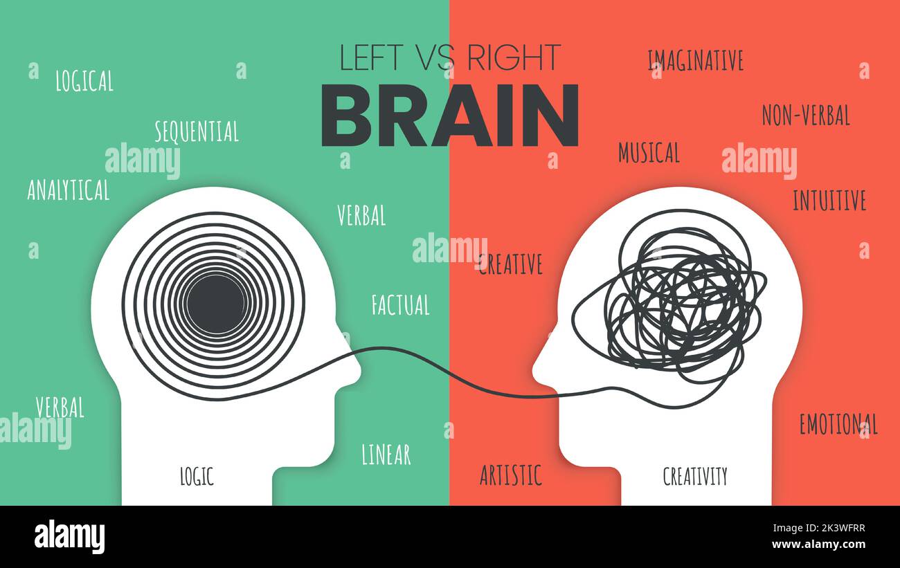 Modello infografico cervello sinistro vs. Dominio cervello destro. Come funziona il cervello umano teoria. Persone creative di destra-cervello e analytical pensatori lef Illustrazione Vettoriale