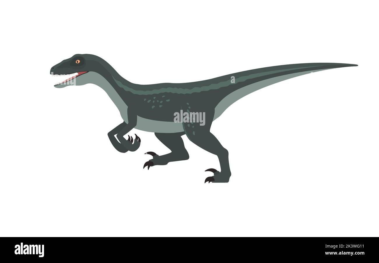 Esecuzione di Velociraptor. Illustrazione vettoriale di un dinosauro in esecuzione velociraptor isolato su sfondo bianco. Design piatto, vista laterale. Illustrazione Vettoriale