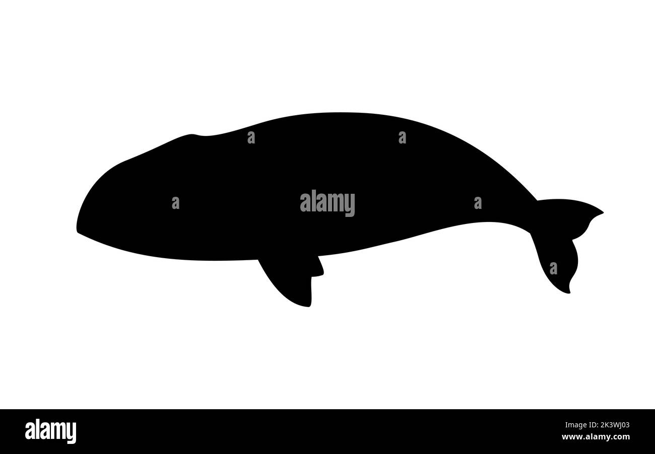 Silhouette di balena bowhead. Illustrazione vettoriale silhouette nera di balena bowhead isolata su bianco. Icona del logo, vista laterale. Illustrazione Vettoriale