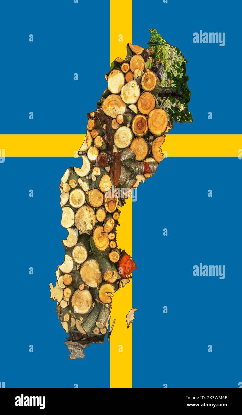 Mappa generale della Svezia con l'immagine della bandiera nazionale. Legna da ardere all'interno della mappa. Collage. Crisi energetica. Foto Stock