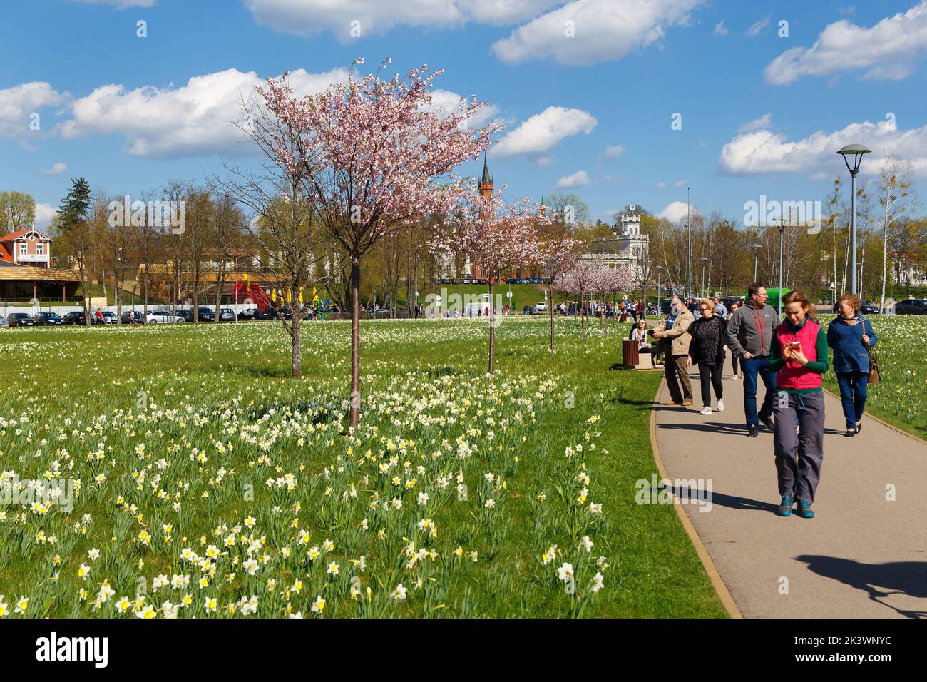 Druskininkai, Lituania - 21 aprile 2018: Turisti e residenti della città passeggiata nel Parco, che tradizionalmente ogni primavera fioriscono migliaia di d Foto Stock