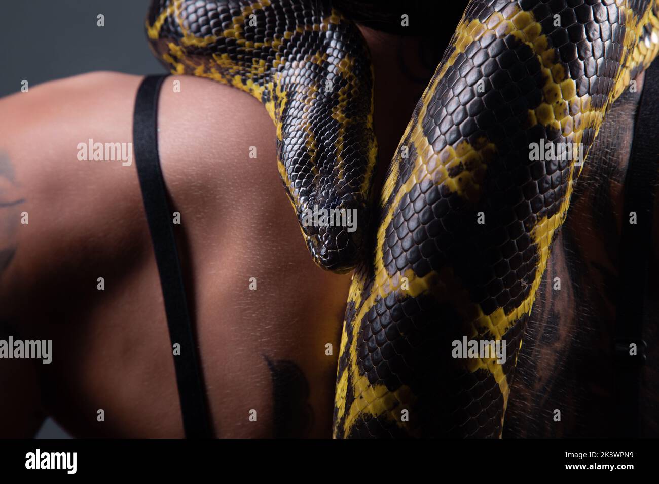 Foto ravvicinata dell'anaconda gialla sulle spalle della donna Foto Stock