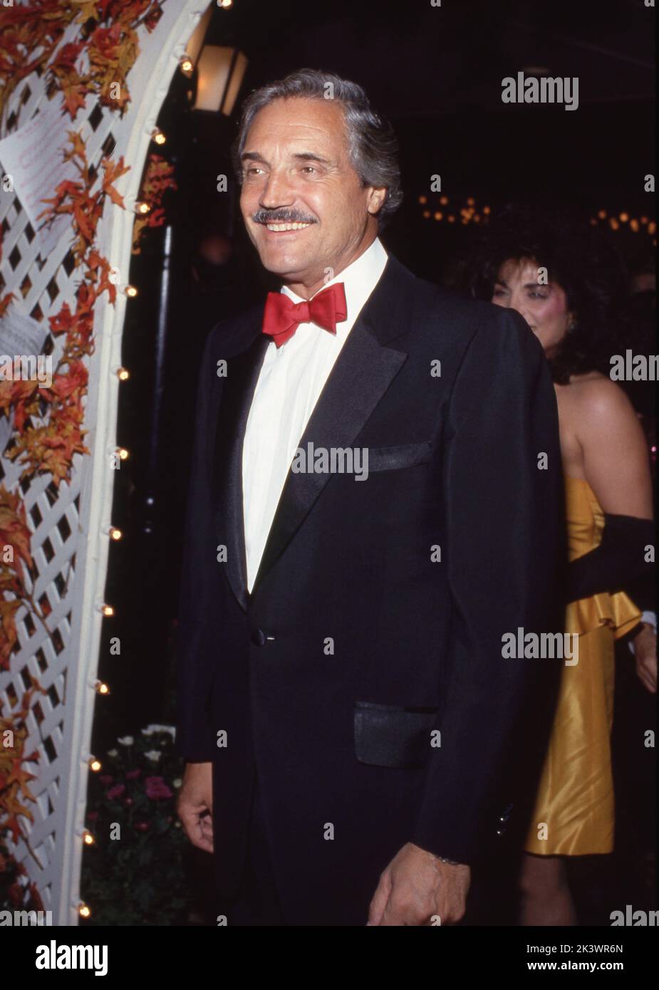 Hal Linden nel corso del 29th annuale Thalians Ball in onore di Robert Preston al Century Plaza Hotel a Los Angeles, California 03 novembre 1984 credito: Ralph Dominguez/MediaPunch Foto Stock