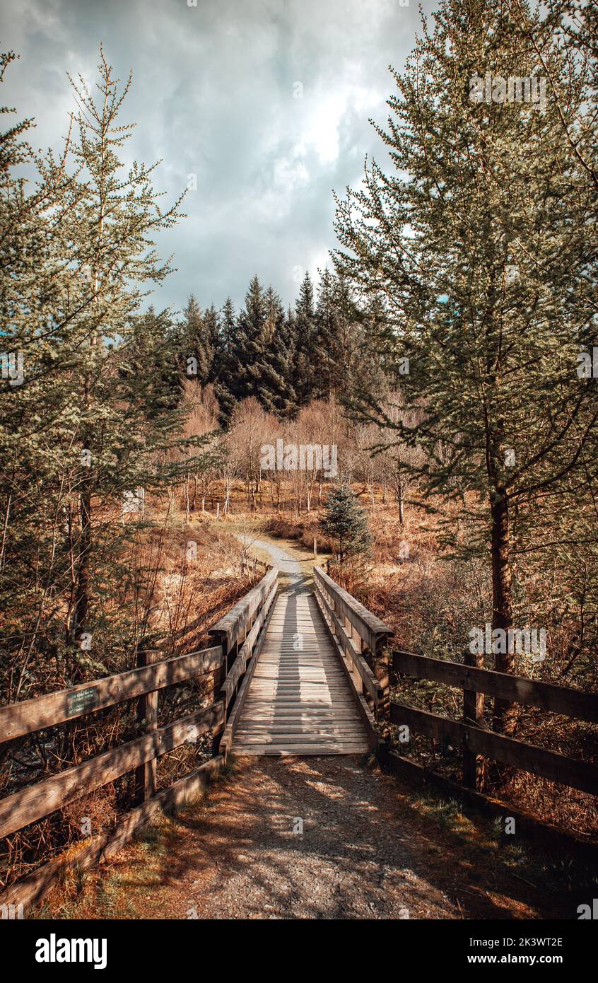 Galloway Forest National Park nel giorno Foto Stock