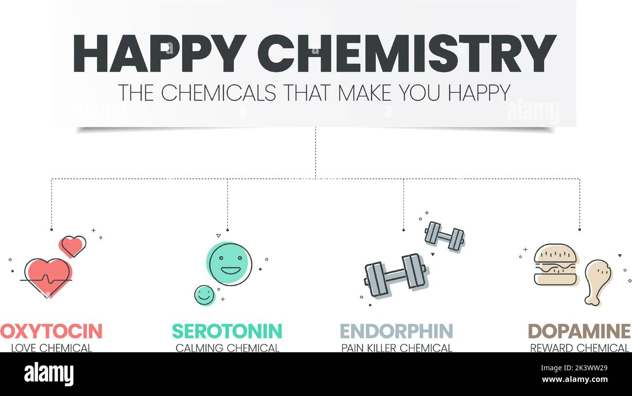 L'infografica Happy Chemistry ha 4 tipi di ormoni chimici come Oxytocin (Love), serotonina (Calming), dopamina (Reward) ed Endorphin (Pain Kille Illustrazione Vettoriale