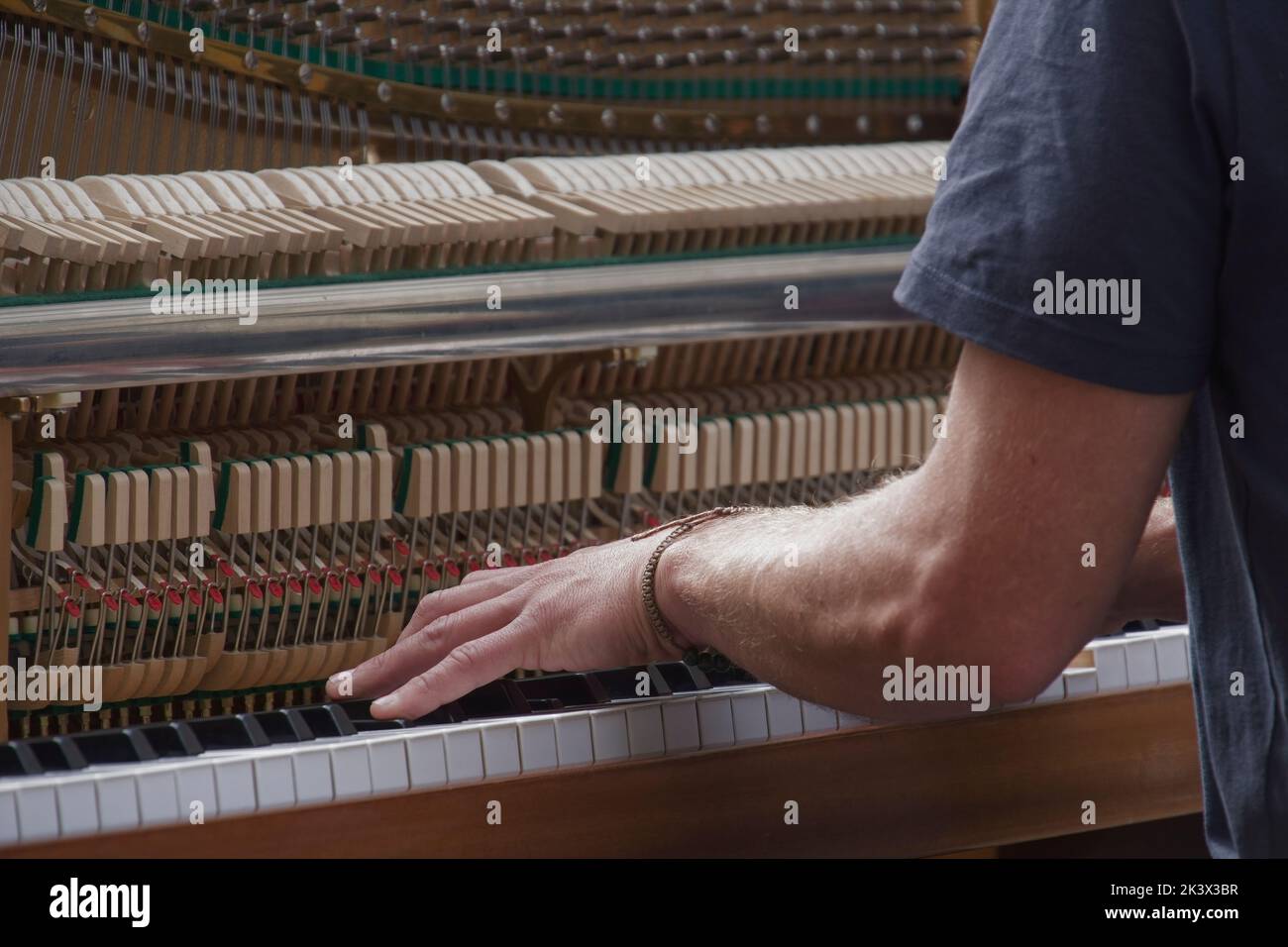Città di Bath High Street Somerset Inghilterra UK male Busker che suona il pianoforte. Dettaglio di martelli piani, perni di corde, dita di supporto e mano sulla tastiera Foto Stock