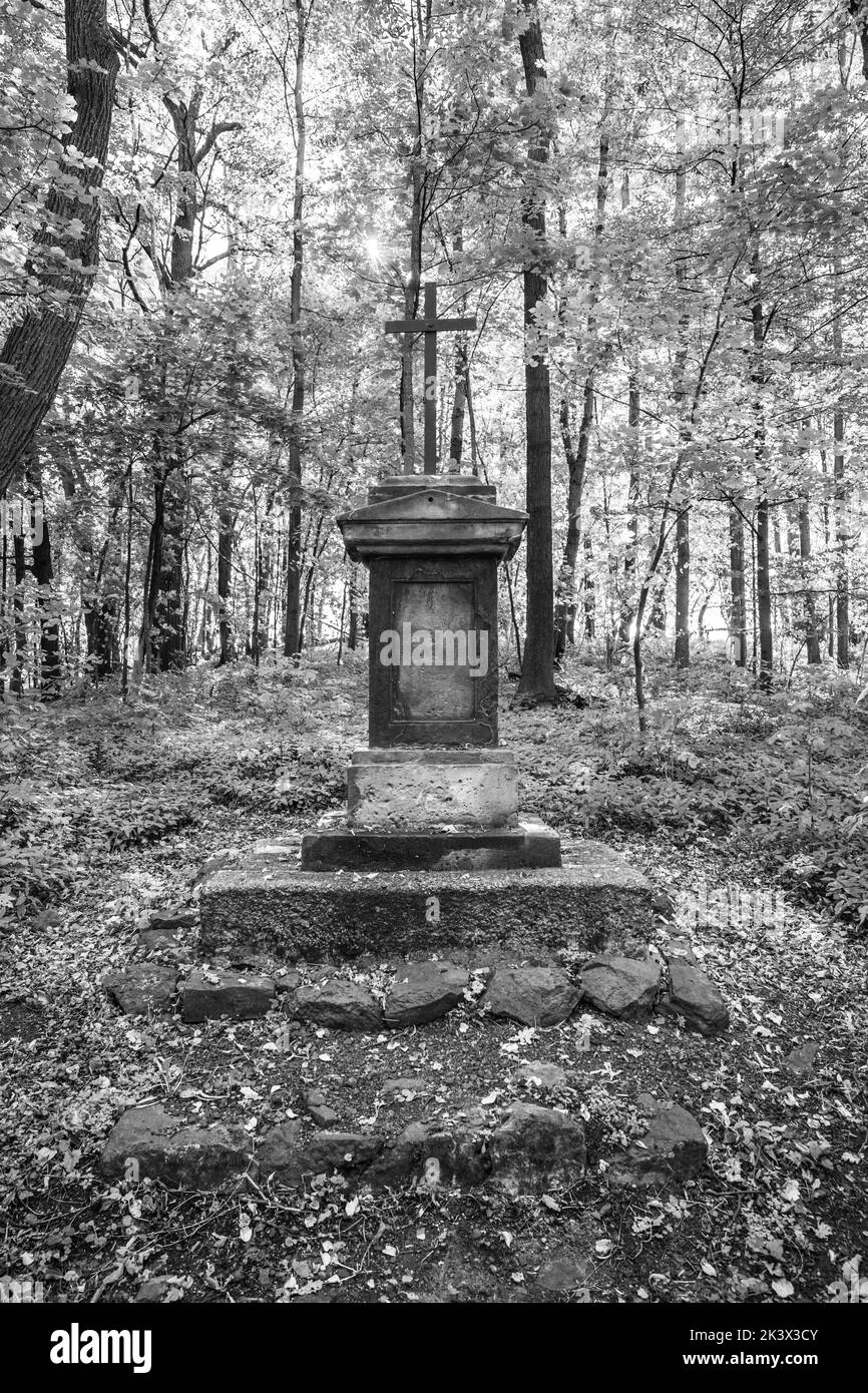 Foresta calvario in autunno Foto Stock