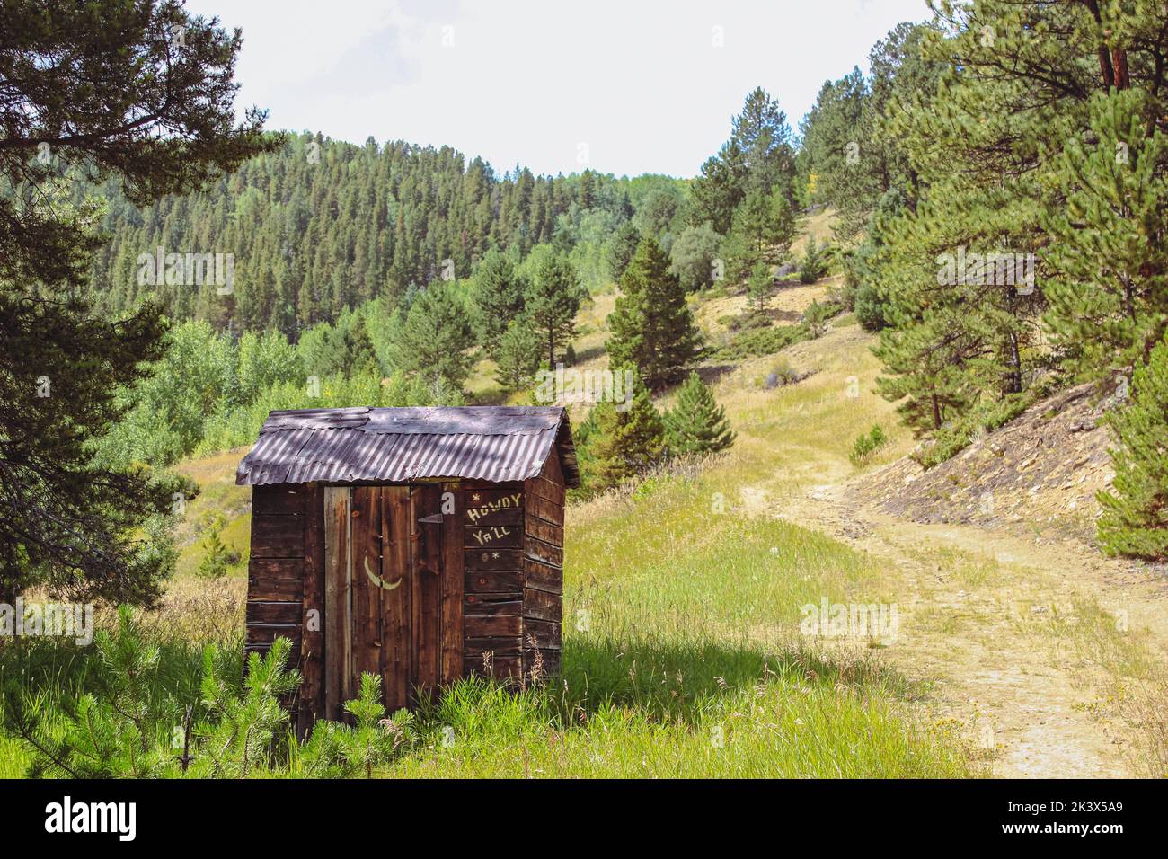 Old Shack nella foresta Foto Stock