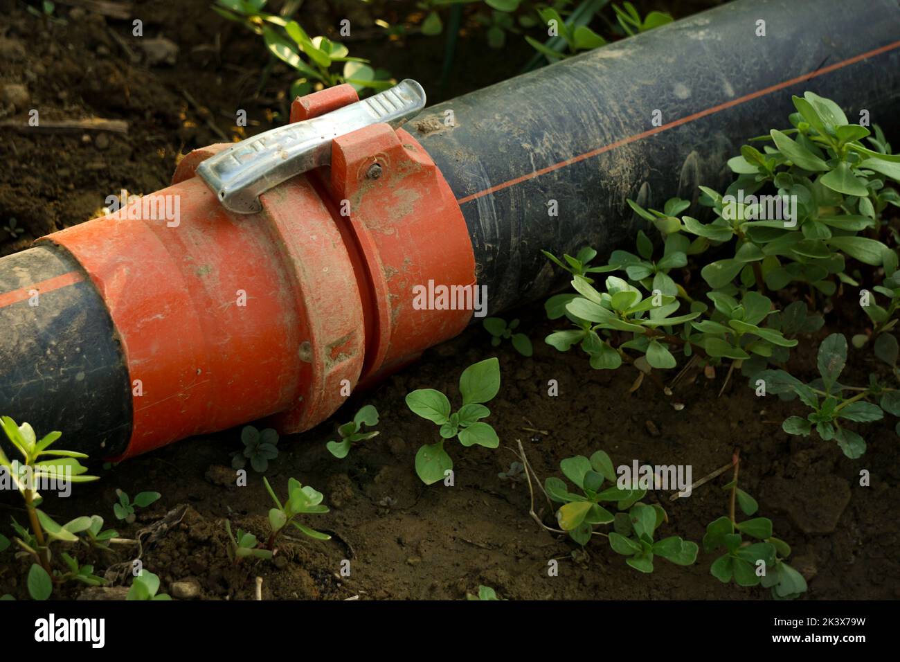 Un primo piano di un giardino raccordi tubo irrigazione Foto Stock