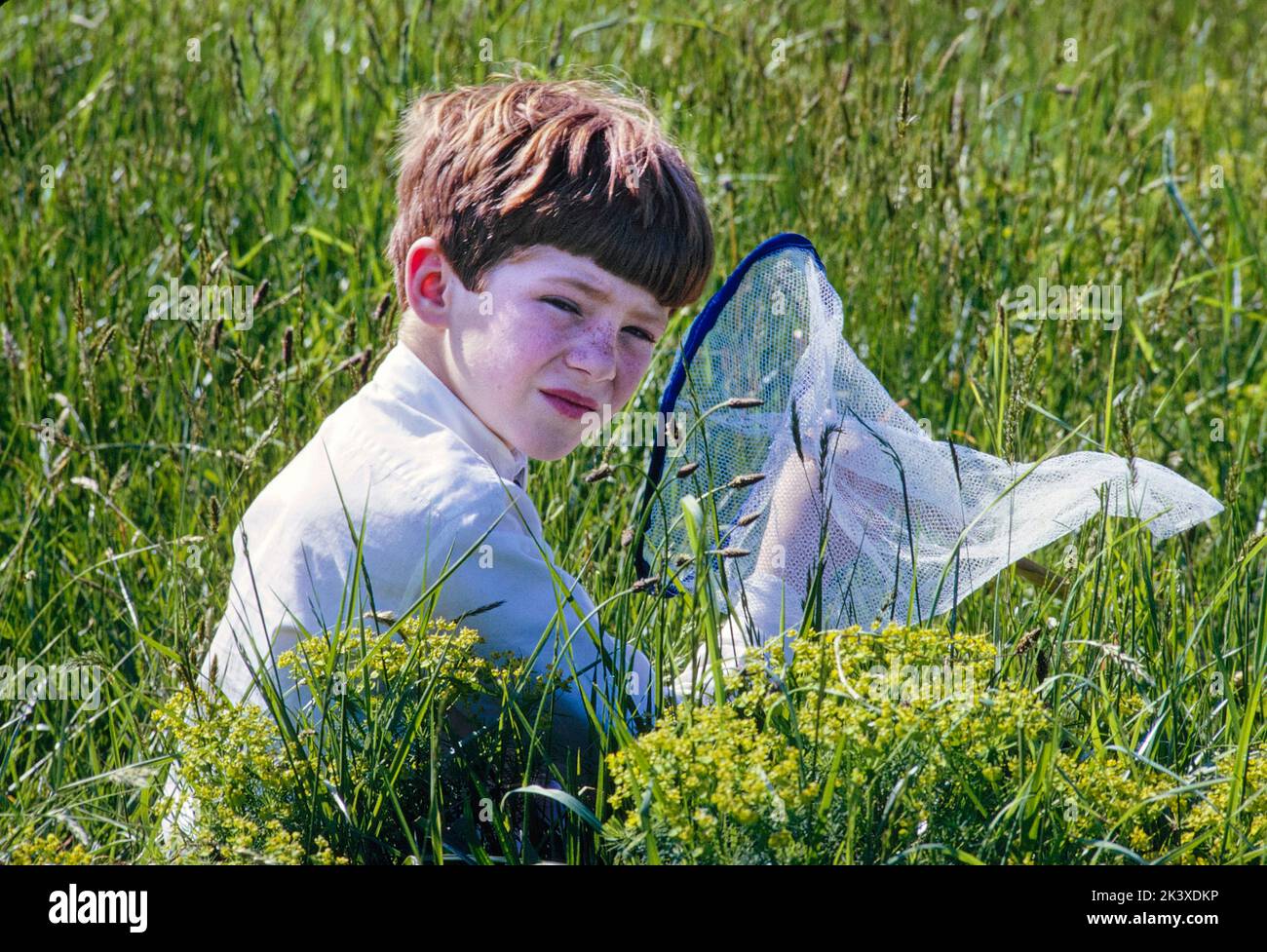 Giovane ragazzo seduto in campo erboso con Butterfly Net, St. James, New York, USA, toni Frissell Collection, Maggio 1966 Foto Stock