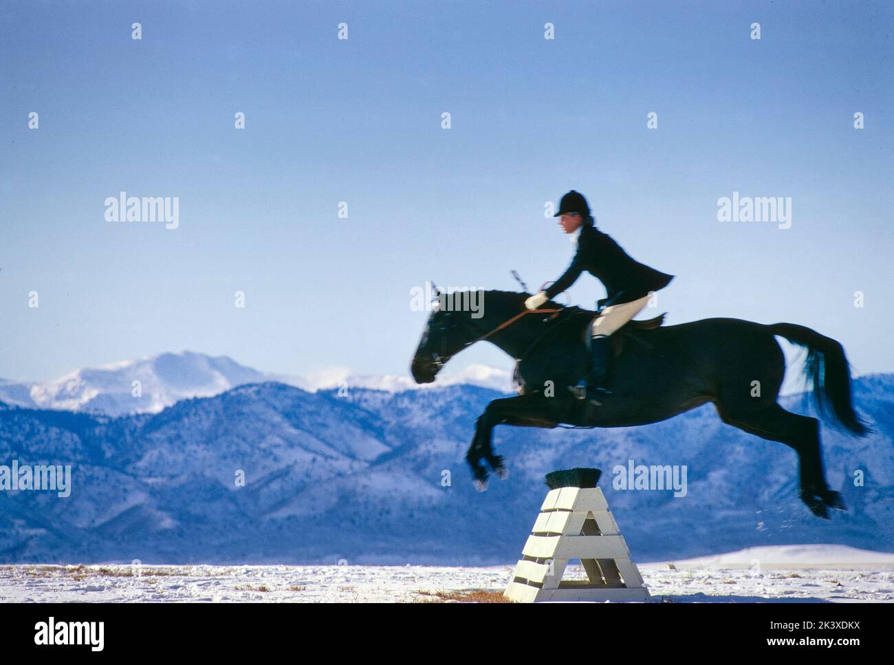 Equitazione e cavalli che saltano sopra ostacolo, montagna sfondo, Colorado, Stati Uniti, toni Frissell Collection, Maggio 1967 Foto Stock