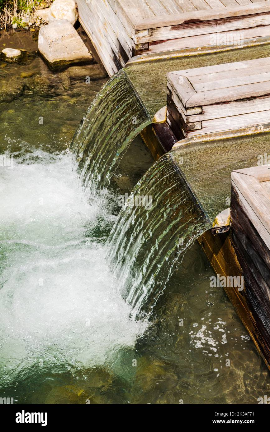 Liard River Hot Springs; Liard River Provincial Park; British Columbia; Canada Foto Stock