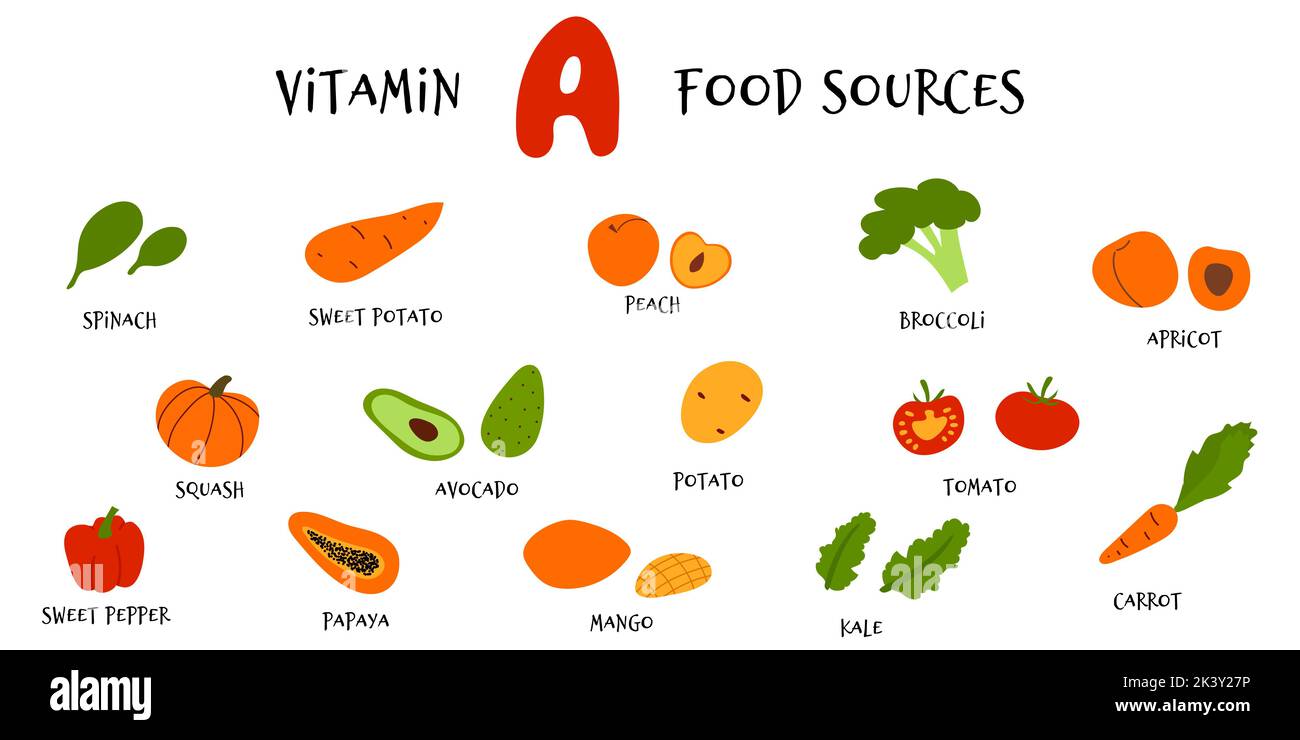 Raccolta di frutti vettoriali a mano e verdure ricche di beta-carotene. Fonti alimentari infografica della vitamina A per vegan in stile cartoon piatto Illustrazione Vettoriale