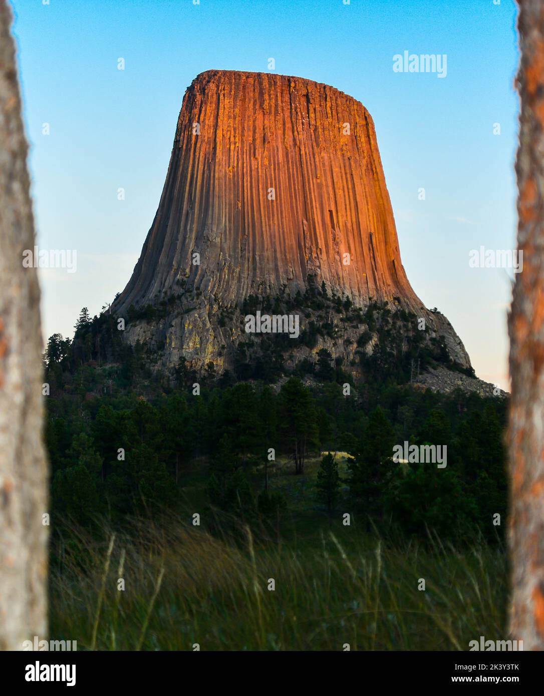 Uno scatto verticale del Devils Tower National Monument nel Wyoming con luce nel tardo pomeriggio Foto Stock