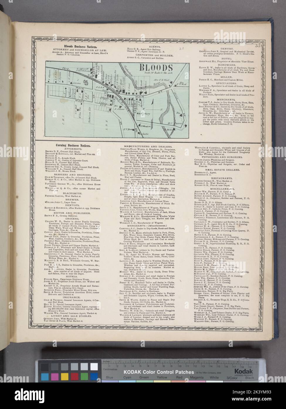 Bloods Business Notices; Bloods Village; Corning Business Notices testo. Atlanti, Mappe. 1873. Lionel Pincus e la Principessa Firyal Map Division. Steuben County (N.Y.), Real Property , New York (state) , Steuben County, Business Enterprises , New York (state) , Steuben County Foto Stock